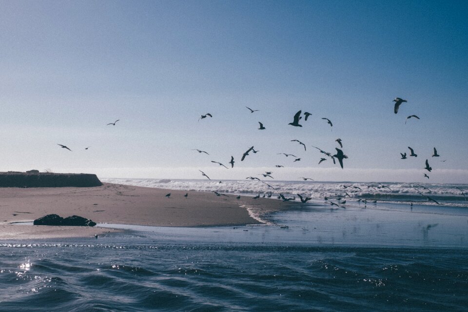 Waves nature beach