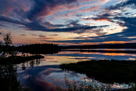 Sunset nature trees