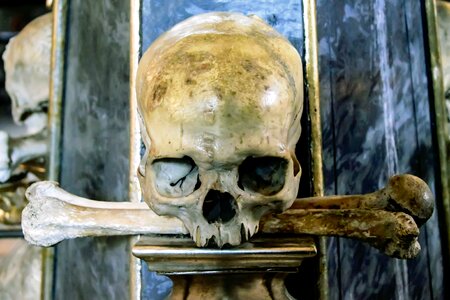 Death bones skeleton