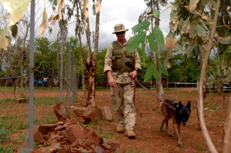 US Navy 070825-F-5735S-060 Master-at-Arms 2nd Class Douglas Kesterson and explosive detection dog Raika patrol the fence line at the Gendarme training range