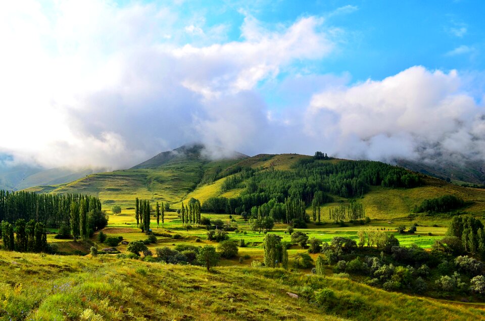 Landscapes nature sky grass
