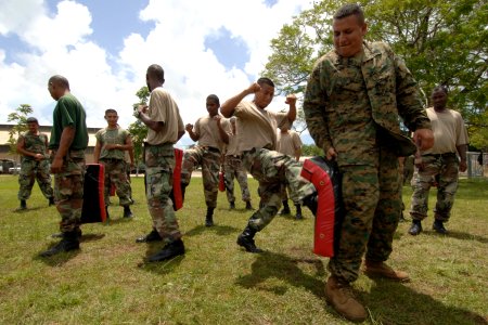 US Navy 070828-N-0989H-027 Marine Corps Staff Sgt. Oscar Cruz, assigned to a U.S. Marine Corps mobile training team, assists recruits of the Belize Defense Force on martial arts pad drills and unarmed manipulations during small