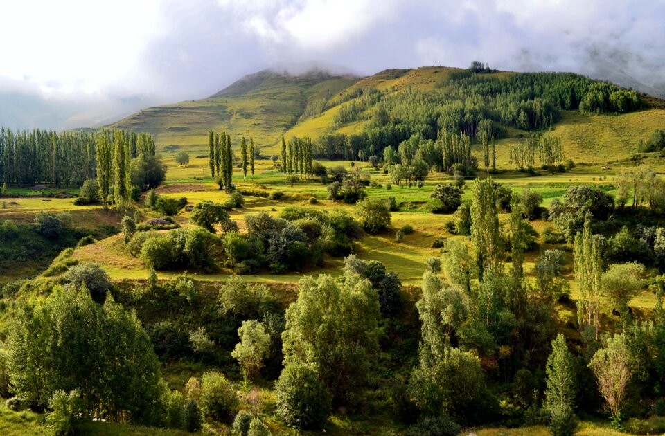 Landscapes nature sky grass
