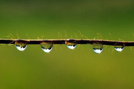 Drop of water close up liquid photo