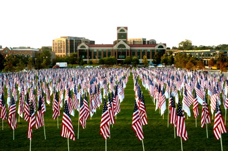 US Navy 070909-N-5208T-003 Freedom Flags of the Salt Lake City