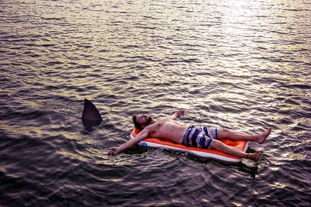 Leisure float shark photo