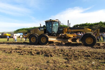 New cat rural