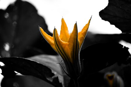 Shooting fun nikon