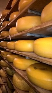 Mature shelf storage netherlands