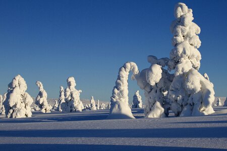 Landscape wintry finland photo