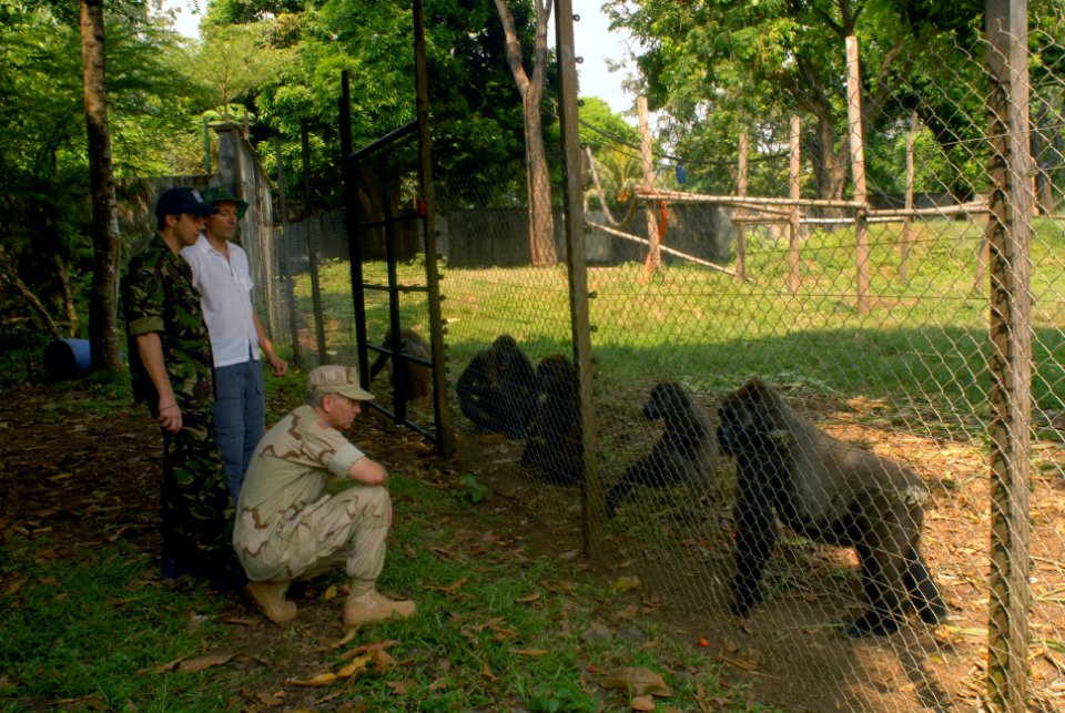 US Navy 071212-N-0193M-416 Felix Lankester, project manager for the Limbe Wildlife Center, introduces U.S. Navy Cmdr. Byron Smith, kneeling, and British Navy Cmdr. Nigel May, to the center's residents while giving a tour