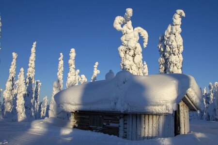 Wintry finland cold photo