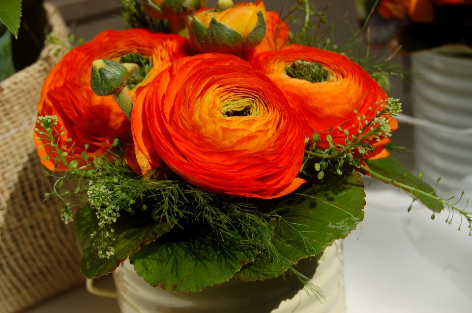 Spring bloom flowers