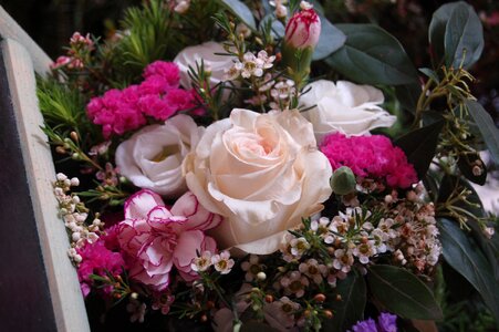 Floral flower arrangement bloom