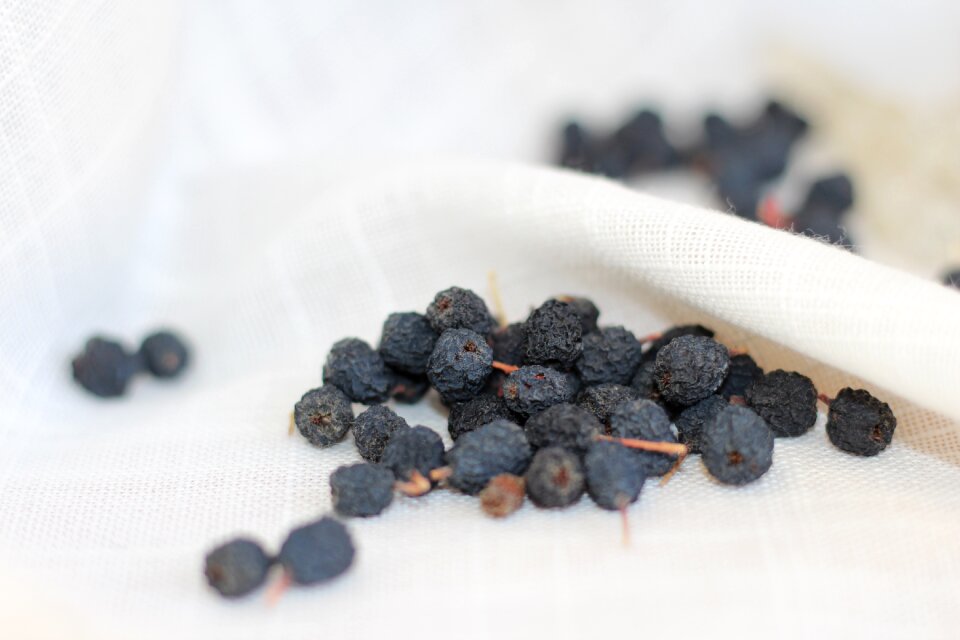 Chokeberry black Free photos