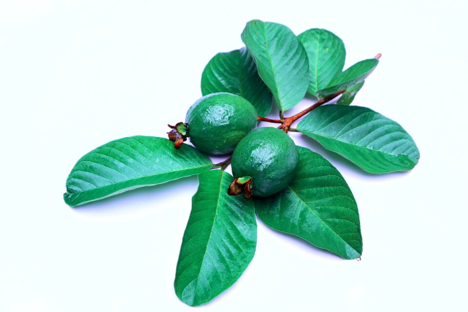 Fruit nature natural