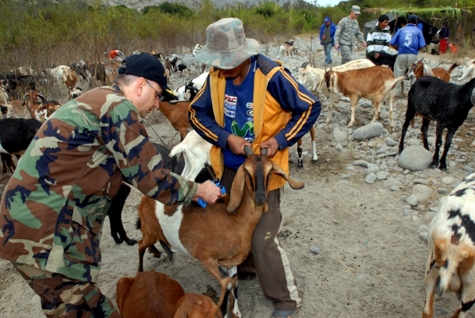 US Navy 080613-N-9150R-051 Cmdr. John Eckert, embarked aboard the military Sealift Command hospital ship USS Boxer (LHD 4), injects a goat with vitamins at a rural family goat farm in the Huacho region of Peru