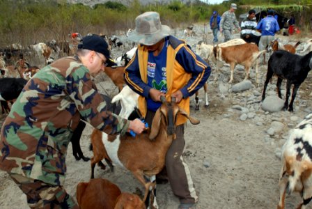 US Navy 080613-N-9150R-051 Cmdr. John Eckert, embarked aboard the military Sealift Command hospital ship USS Boxer (LHD 4), injects a goat with vitamins at a rural family goat farm in the Huacho region of Peru