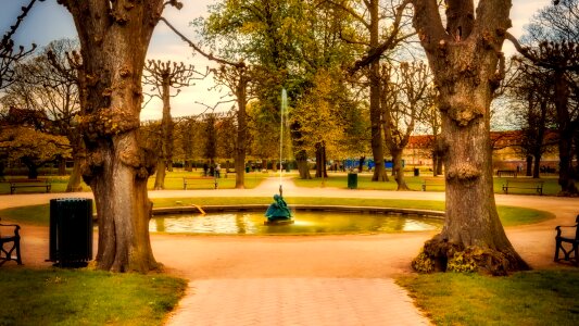 Fountain water trees photo