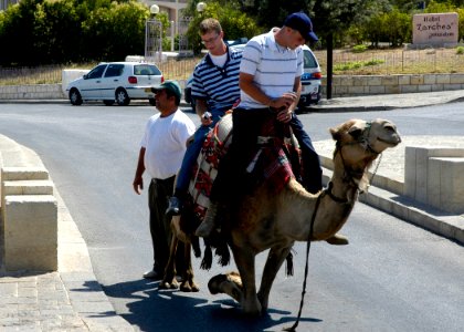 US Navy 080618-N-3316L-021 Boatswain's Mate 3rd Class Jonathan Lee and Seaman William Whale finish up a camel ride in Jerusalem during a MWR-sponsored tour of the Holy Land, part of a port visit by the amphibious transport dock