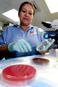 US Navy 080619-N-7883G-072 Culinary Specialist 3rd Class Francine Fivash, of Lantana, Texas, plates knee fluid in the biomedical lab aboard the aircraft carrier USS Kitty Hawk (CV 63)