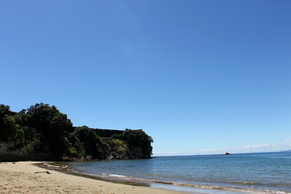 New zealand sunshine blue sunshine