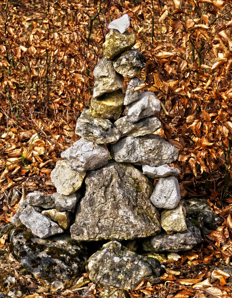 Feng shui harmony nature
