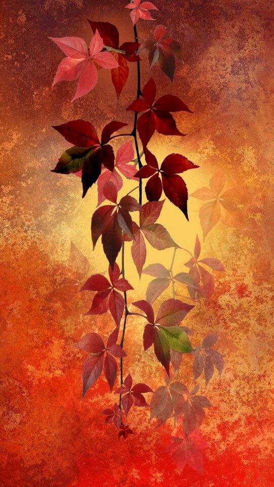 Landscape four seasons mood