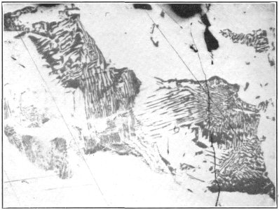 USGS Bulletin787 Plate17 FigureA Ore from Silver Bar Tunnel