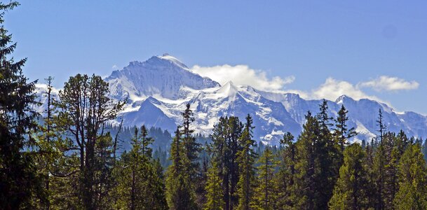 Snow mountain wood photo