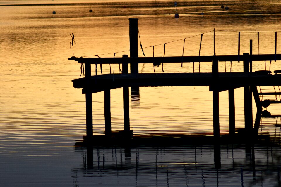 Nature boardwalk view