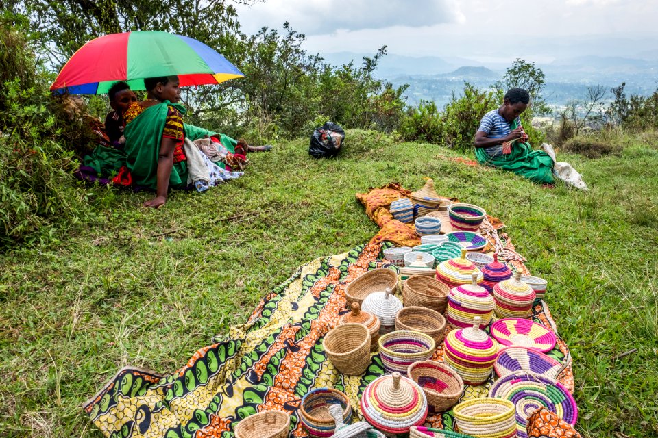 USAID Measuring Impact Conservation Enterprise Retrospective (Uganda; International Gorilla Conservation Program) (39396091215)
