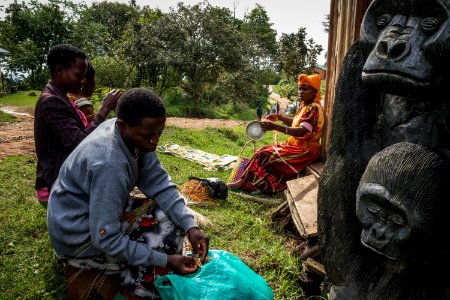 USAID Measuring Impact Conservation Enterprise Retrospective (Uganda; International Gorilla Conservation Program) (26421174728) photo