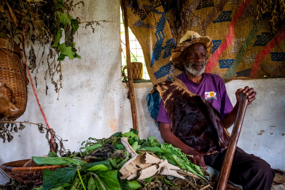 USAID Measuring Impact Conservation Enterprise Retrospective (Uganda; International Gorilla Conservation Program) (25422655357)
