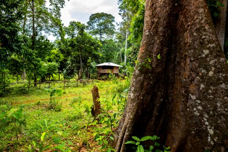 USAID Measuring Impact Conservation Enterprise Retrospective (Philippines; Nagkakaisang Tribu ng Palawan) (40293247011)