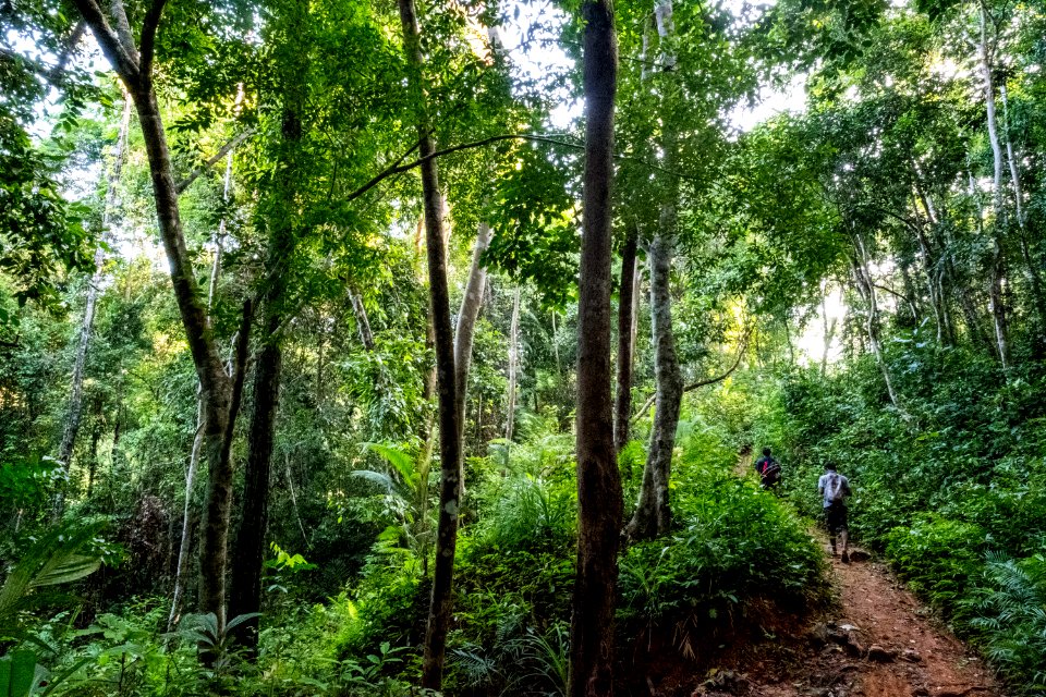 USAID Measuring Impact Conservation Enterprise Retrospective (Philippines; Nagkakaisang Tribu ng Palawan) (38483337240)