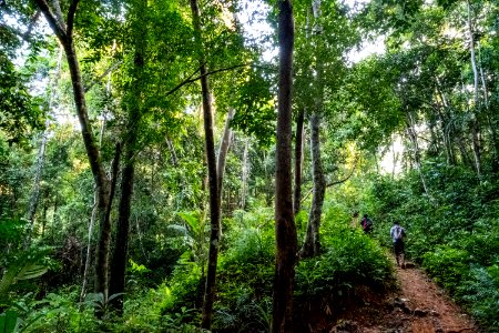USAID Measuring Impact Conservation Enterprise Retrospective (Philippines; Nagkakaisang Tribu ng Palawan) (38483337240)