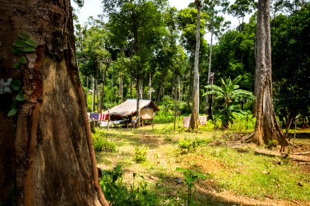 USAID Measuring Impact Conservation Enterprise Retrospective (Philippines; Nagkakaisang Tribu ng Palawan) (39581655644)