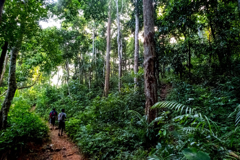 USAID Measuring Impact Conservation Enterprise Retrospective (Philippines; Nagkakaisang Tribu ng Palawan) (39581745244)
