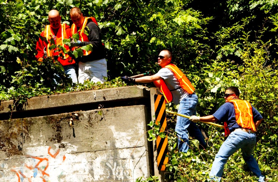 US Navy 080710-N-2143T-002 Sailors assigned to Security Department aboard Naval Base Kitsap work to pull overgrown weeds from an overpass at Anderson Hill Road