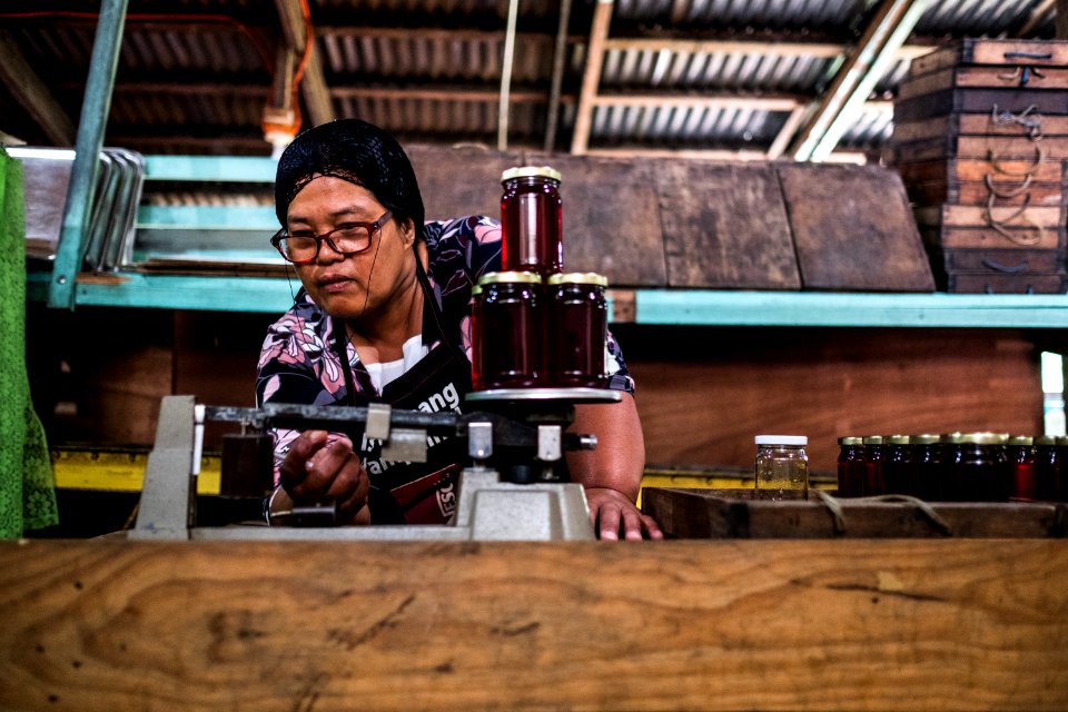 USAID Measuring Impact Conservation Enterprise Retrospective (Philippines; Kalahan Educational Foundation) (38481954520)