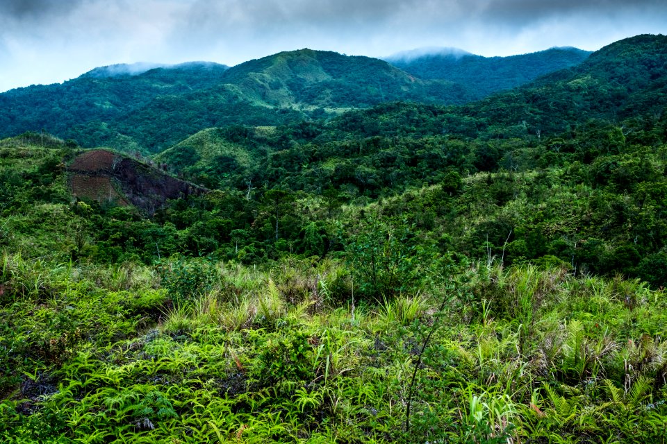 USAID Measuring Impact Conservation Enterprise Retrospective (Philippines; Kalahan Educational Foundation) (39395017695)