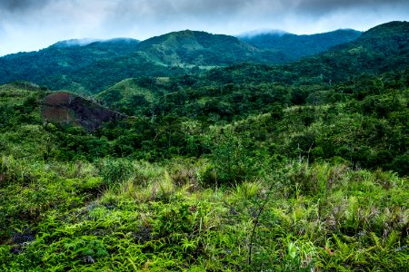 USAID Measuring Impact Conservation Enterprise Retrospective (Philippines; Kalahan Educational Foundation) (39395017695)