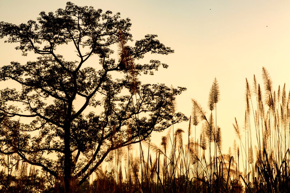USAID Measuring Impact Conservation Enterprise Retrospective (Nepal; National Trust for Nature Conservation) (40301506471)