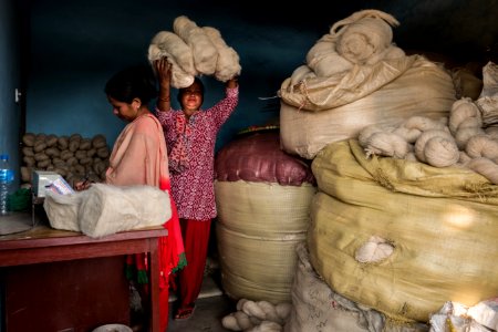 USAID Measuring Impact Conservation Enterprise Retrospective (Nepal; National Trust for Nature Conservation) (39589452664)