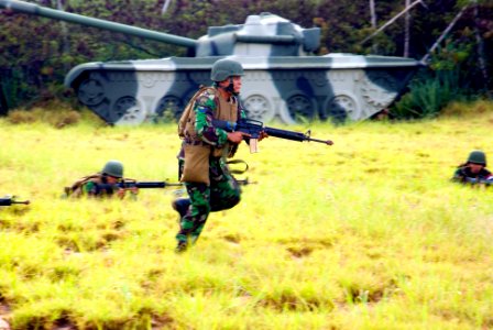 US Navy 080714-N-6674H-207 Indonesian Marines advance through a field during a beach assault exercise at Pacific Missile Range Facility Barking Sands