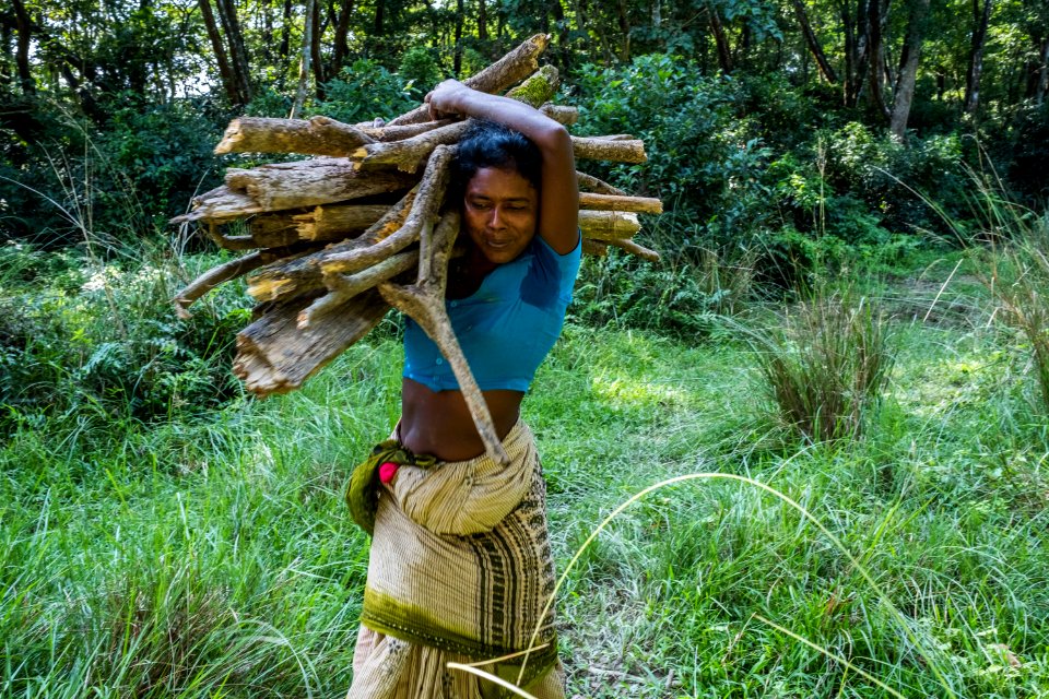 USAID Measuring Impact Conservation Enterprise Retrospective (Nepal; National Trust for Nature Conservation) (40255739962)