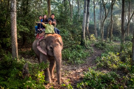 USAID Measuring Impact Conservation Enterprise Retrospective (Nepal; National Trust for Nature Conservation) (38491630070)