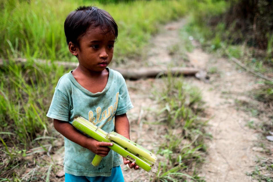 USAID Measuring Impact Conservation Enterprise Retrospective (Philippines; Nagkakaisang Tribu ng Palawan) (26420863338)
