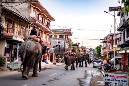 USAID Measuring Impact Conservation Enterprise Retrospective (Nepal; National Trust for Nature Conservation) (40256319642)